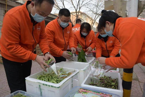 春节，他们在坚守——通信公司保障油田生产、服务矿区居民、力闯外部市场工作剪影